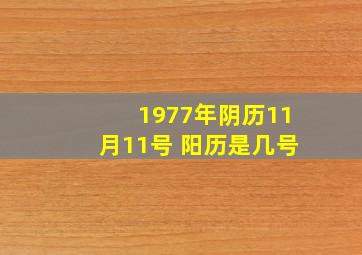 1977年阴历11月11号 阳历是几号